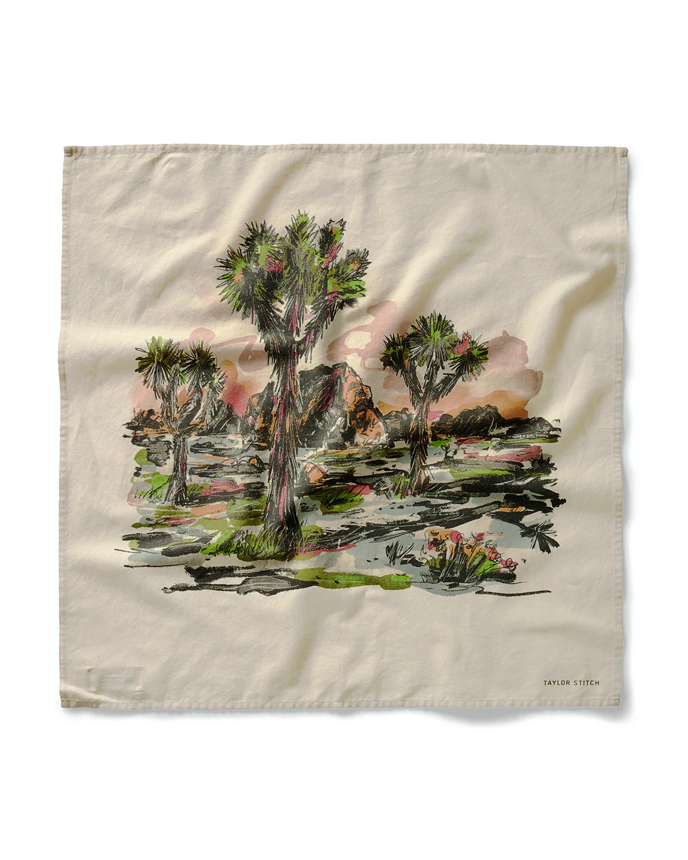 The Bandana in Desert Sunset