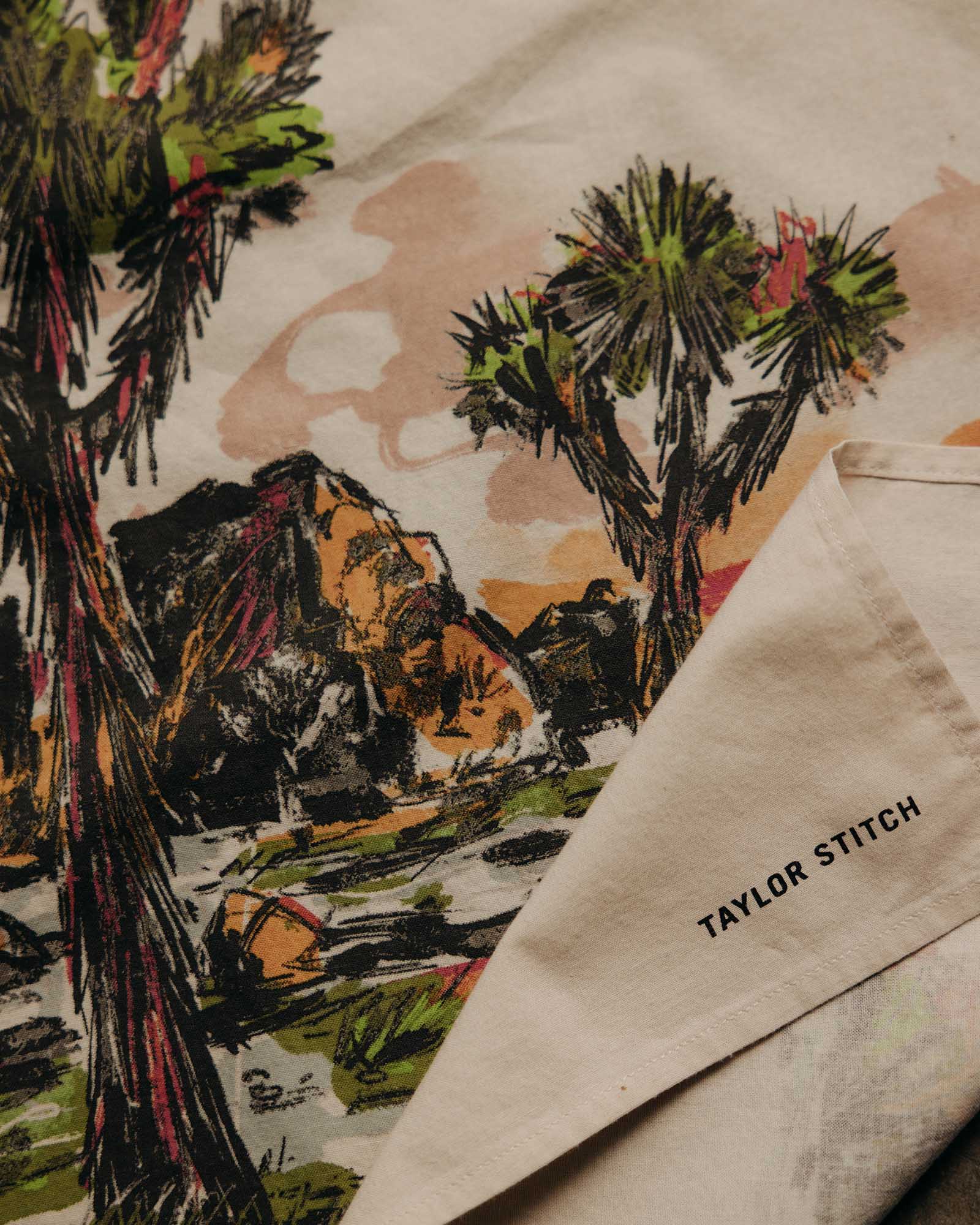 The Bandana in Desert Sunset - Image 2