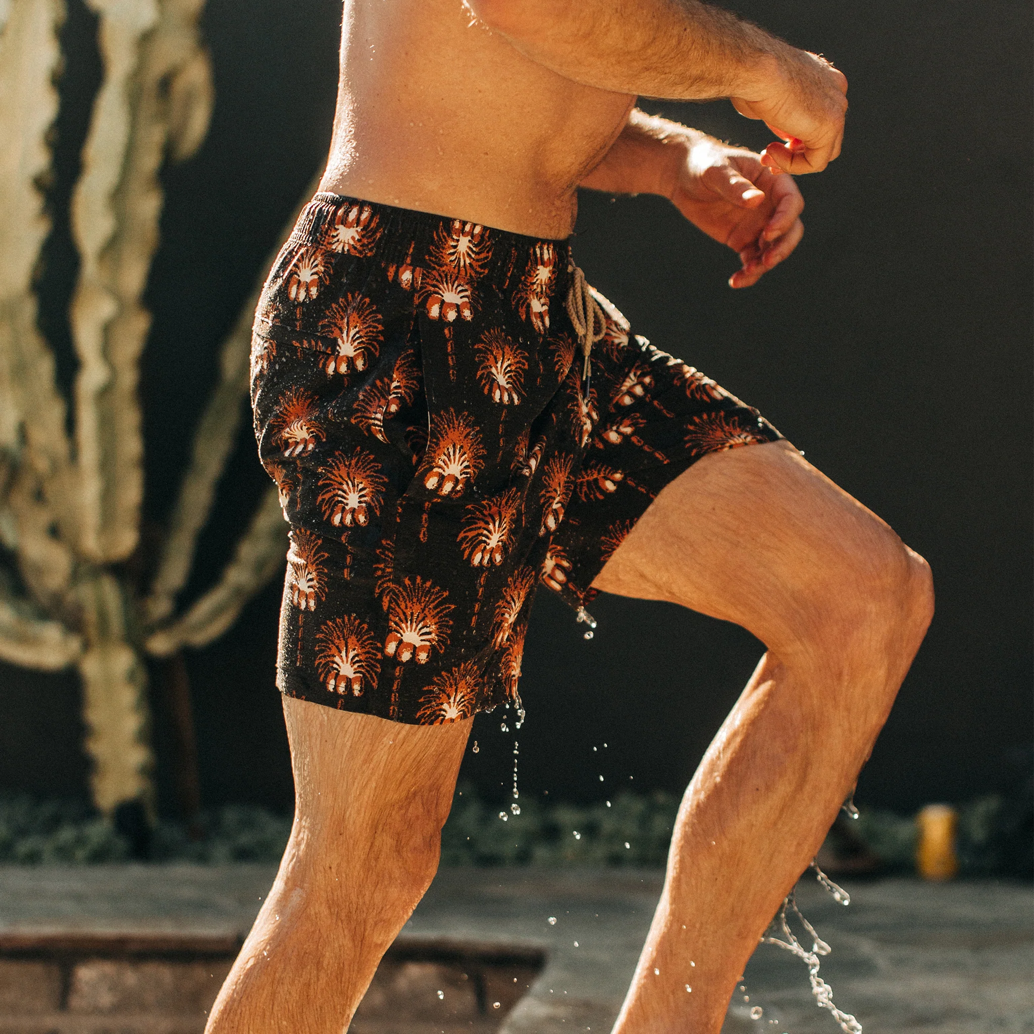 The Bayberry Trunk in Mirage Palm - Image 3