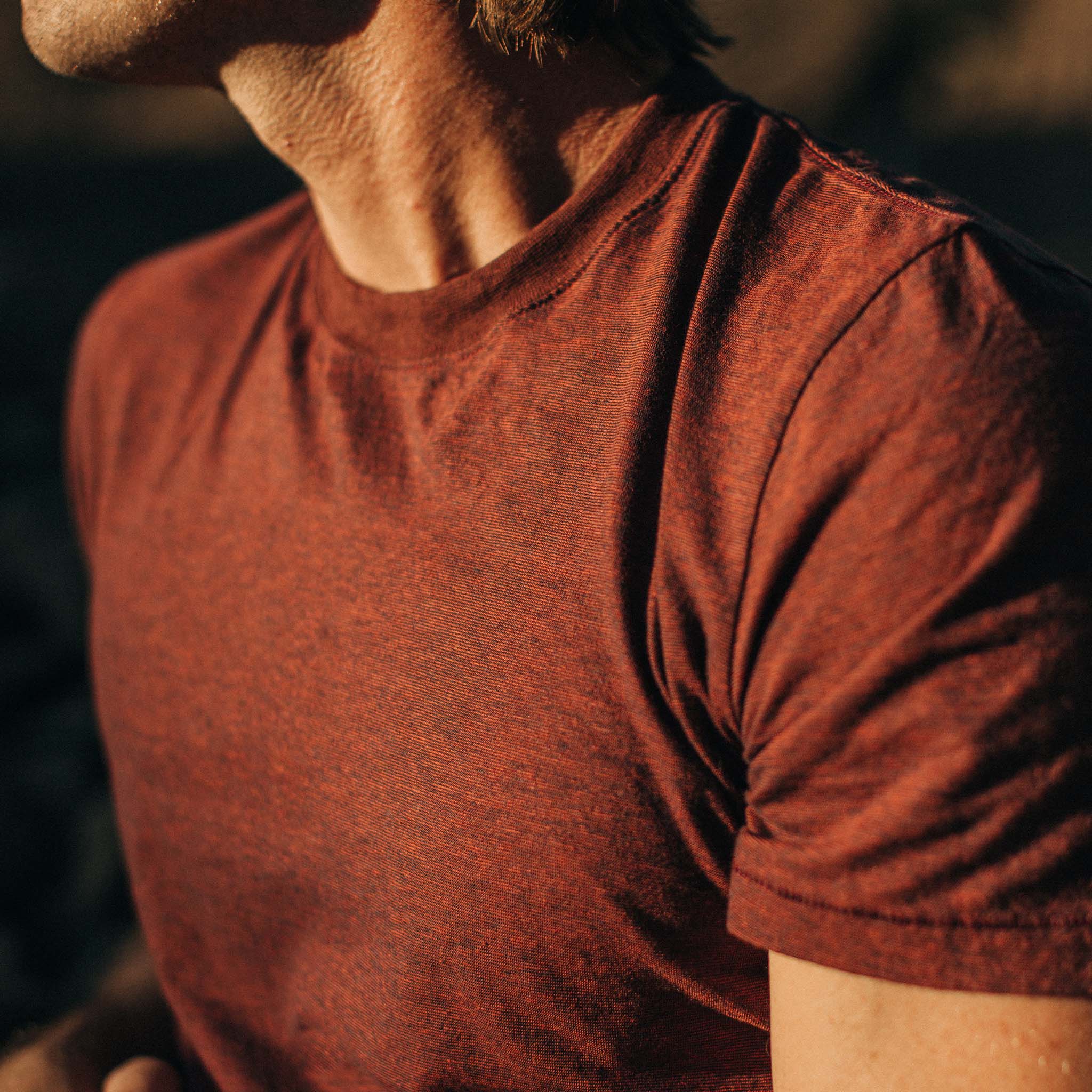 The Cotton Hemp Tee in Rust and Navy Stripe - Image 3