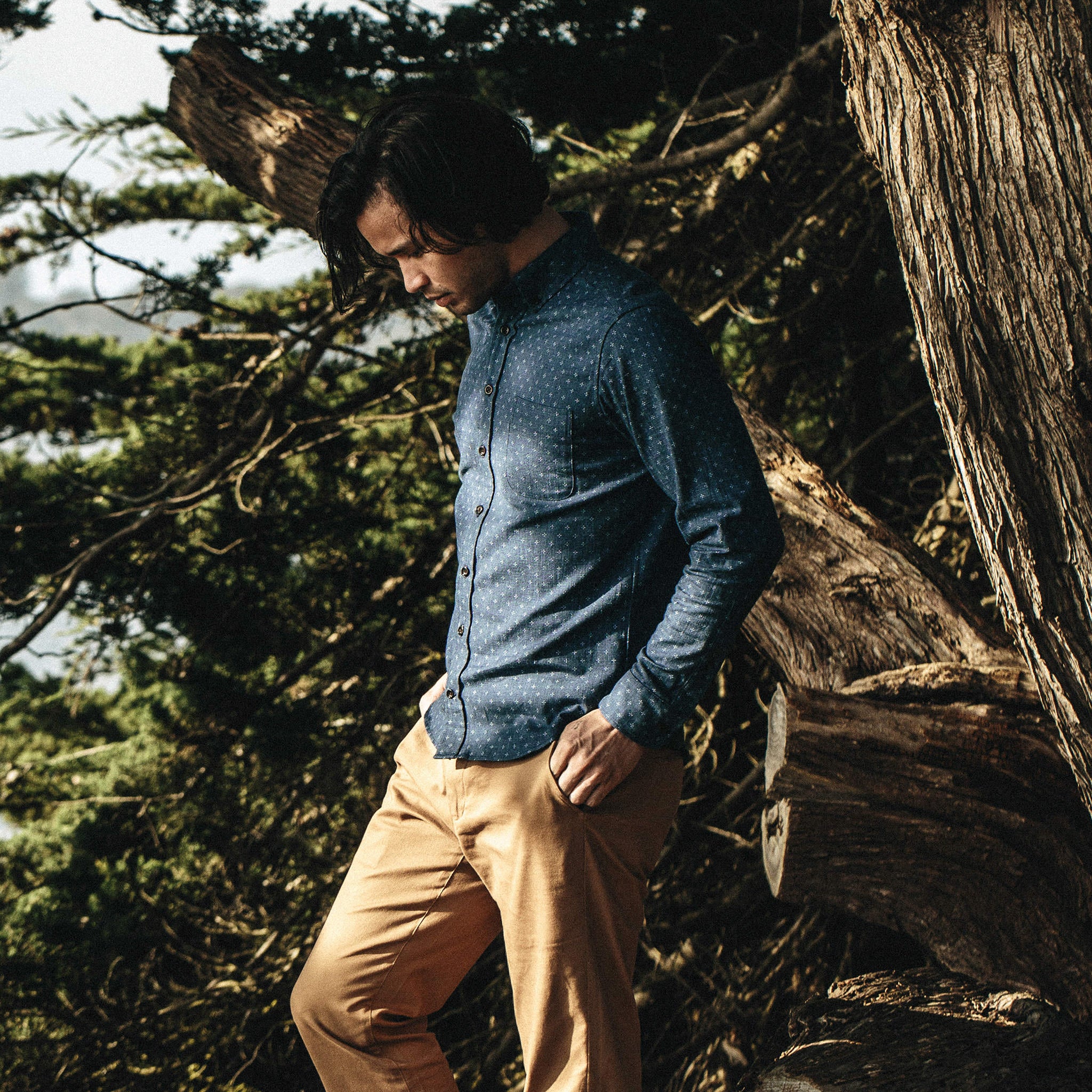 The Jack in Indigo Star - Image 3