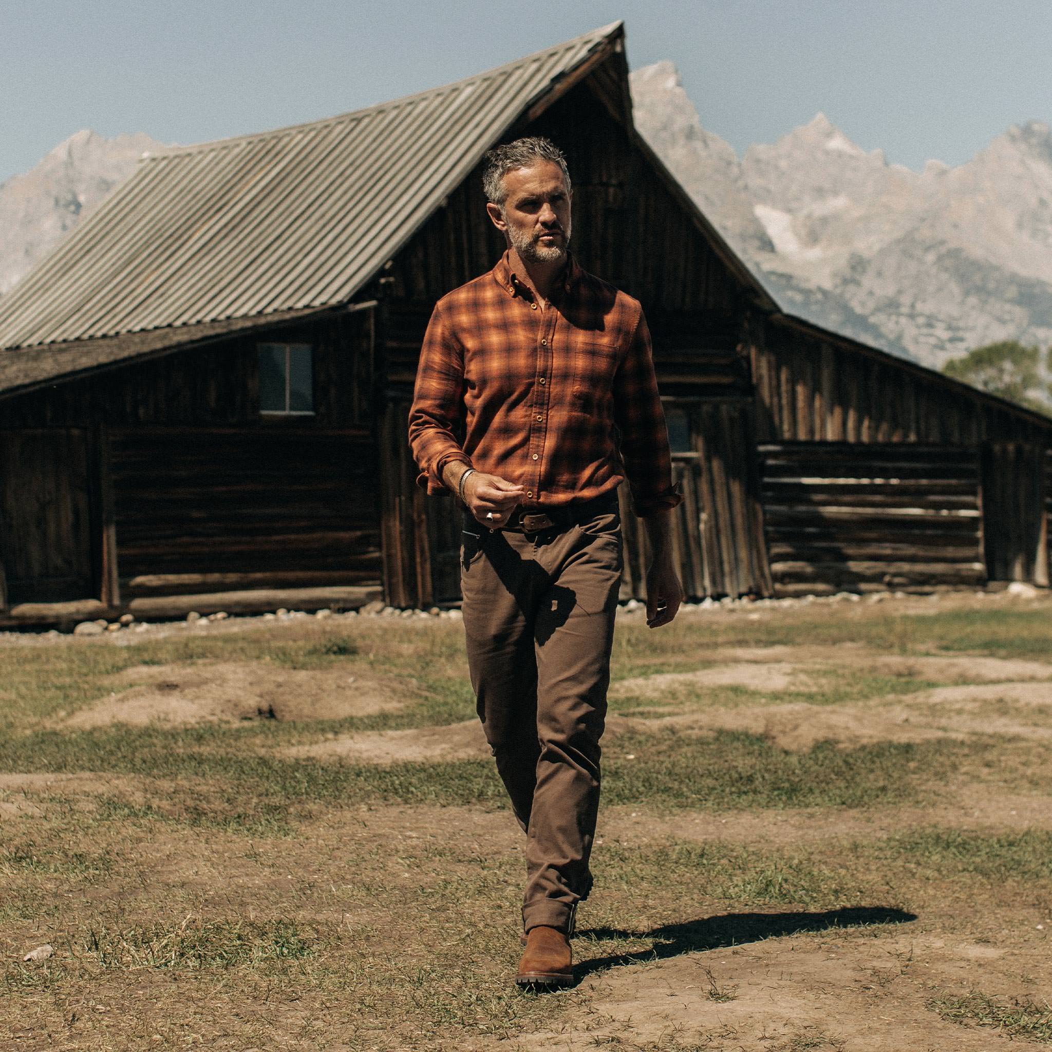 The Democratic All Day Pant in Espresso Selvage - Image 2