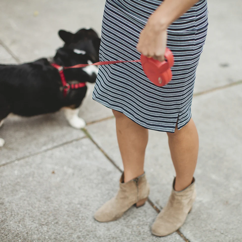 The Eva Dress in Indigo Stripe - Image 9