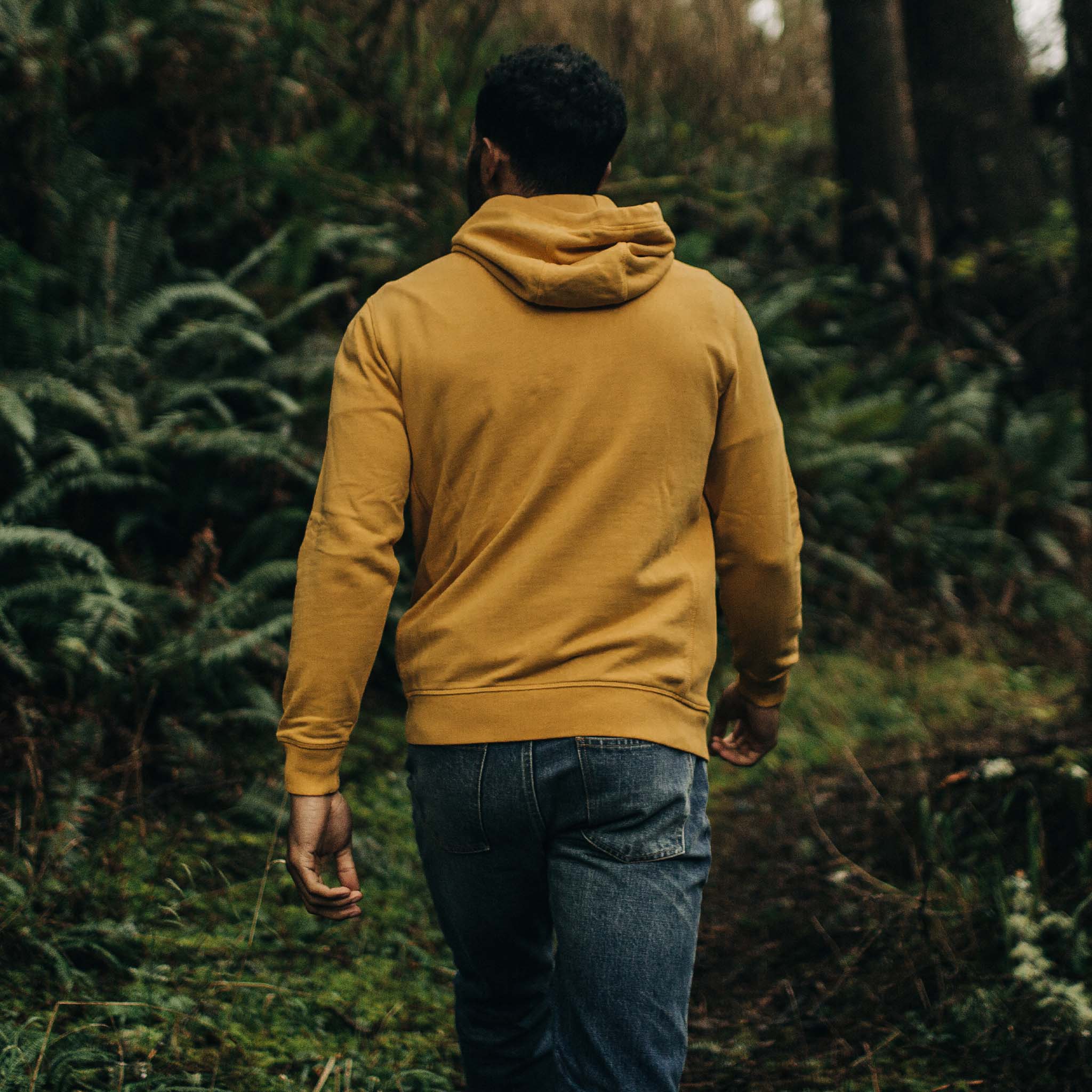 The Fillmore Hoodie in Canary - Image 5
