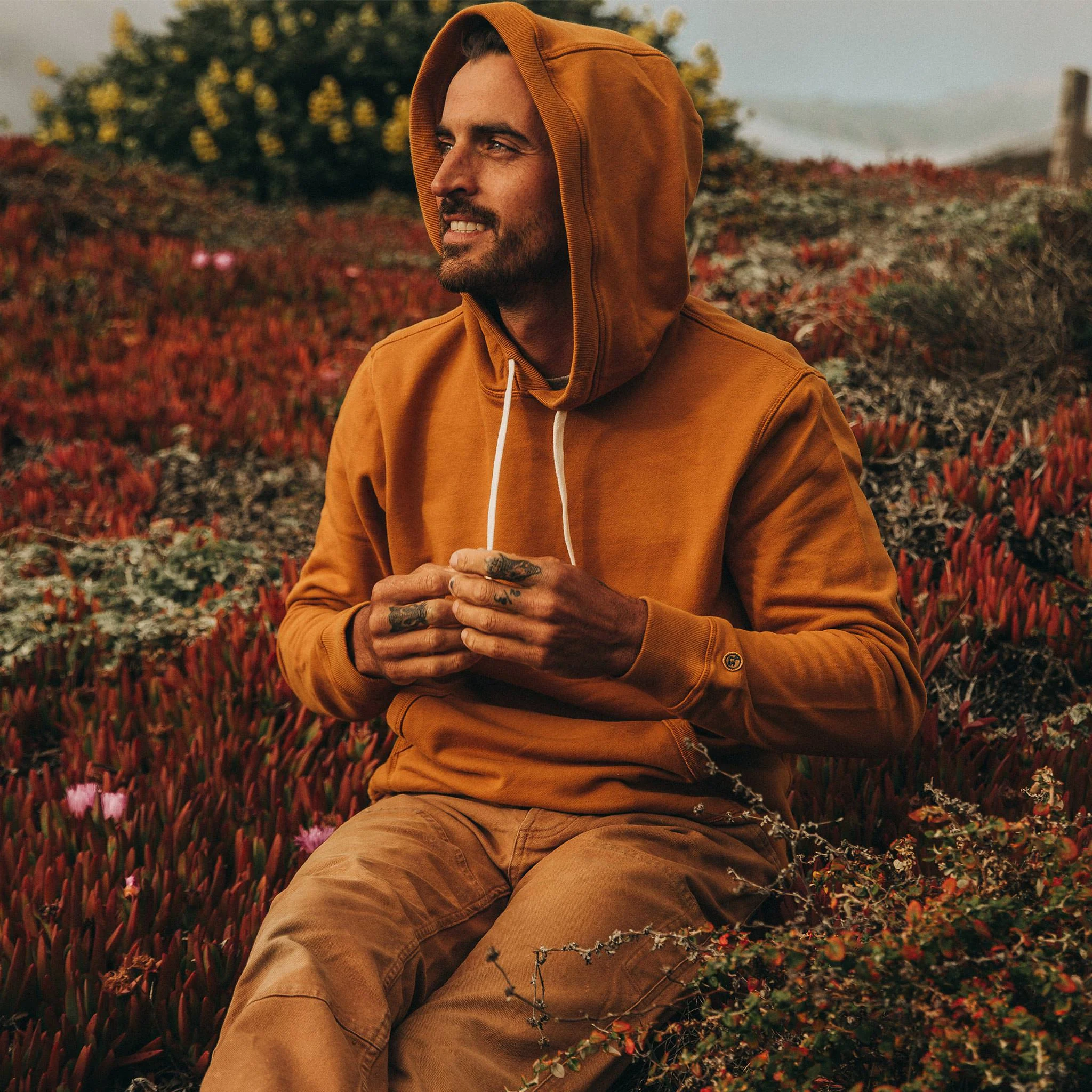 The Fillmore Hoodie in Saffron Terry - Image 3