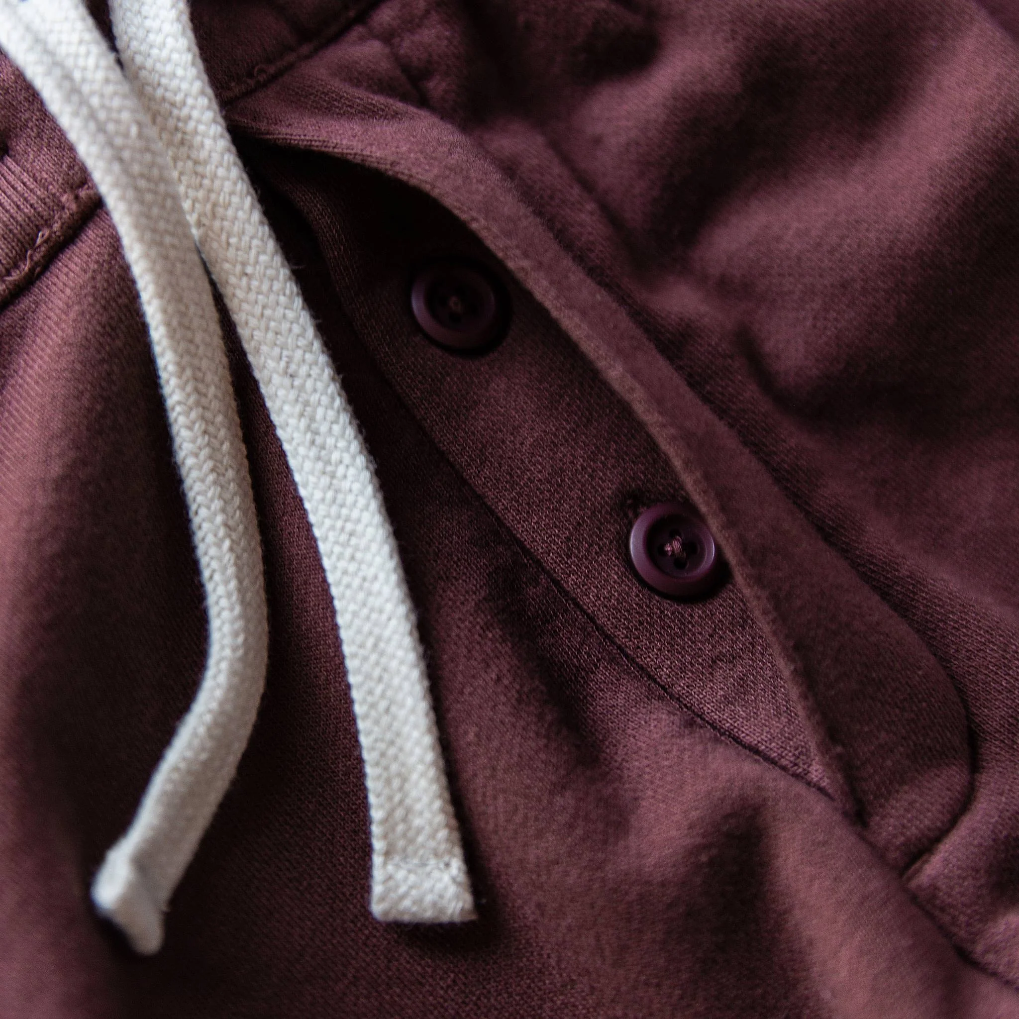 The Fillmore Pant in Burgundy Terry - Image 5