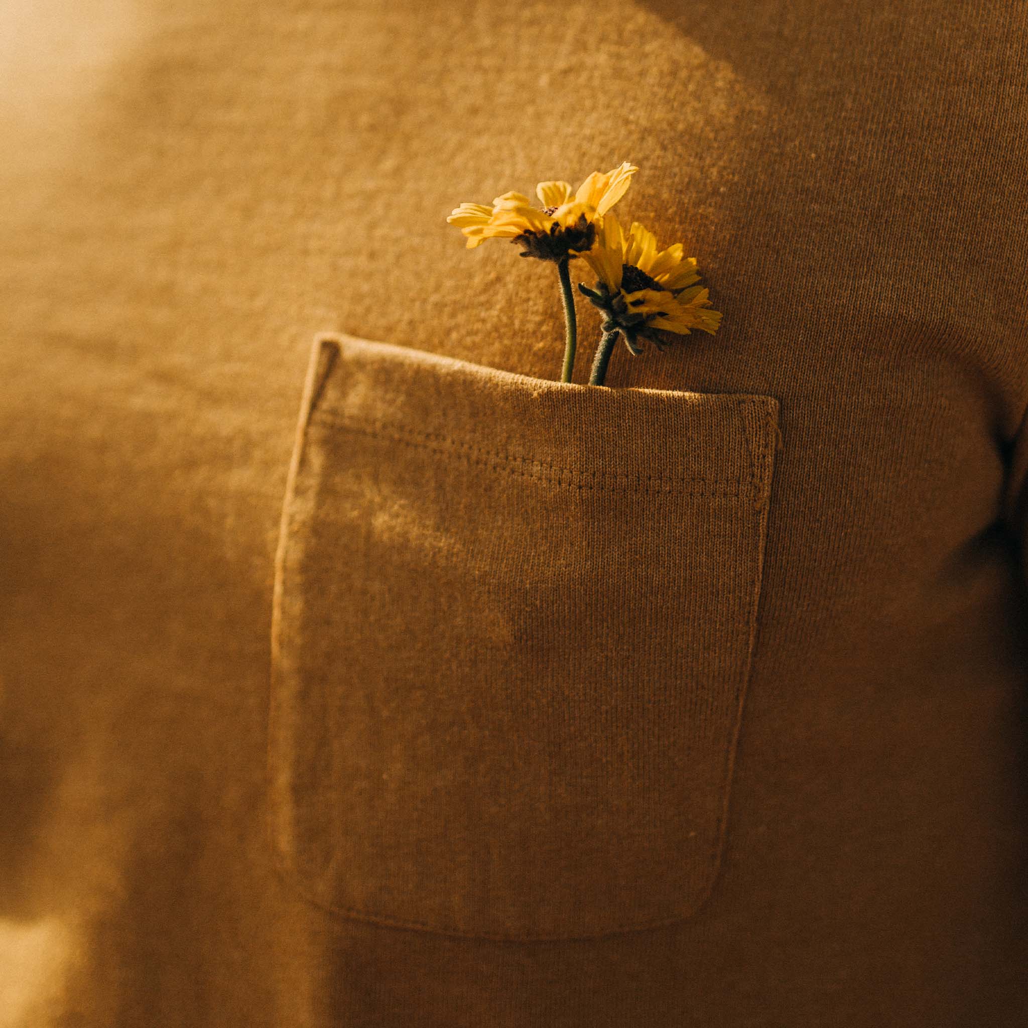 The Heavy Bag Tee in Gold - Image 3