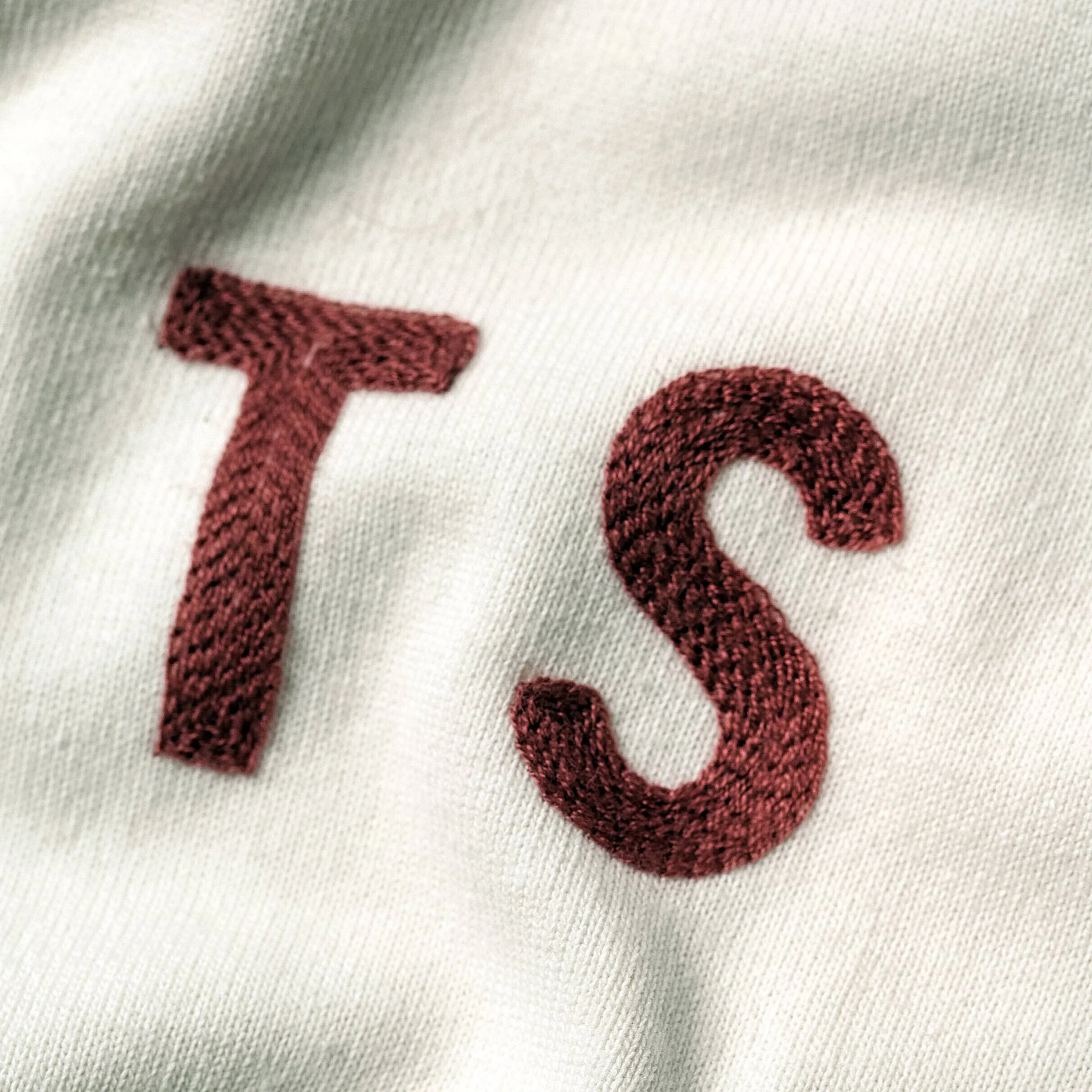 The Embroidered Heavy Bag Tee in Natural TS - Image 6