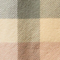 The Ledge Shirt in Dawn Check - Image 9