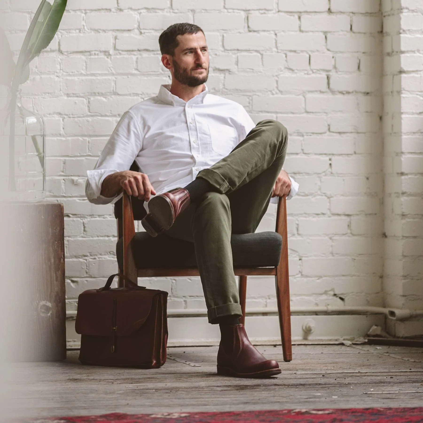 The Democratic Chino in Olive - Image 2
