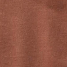 The Organic Cotton Tee in Faded Brick - Image 6