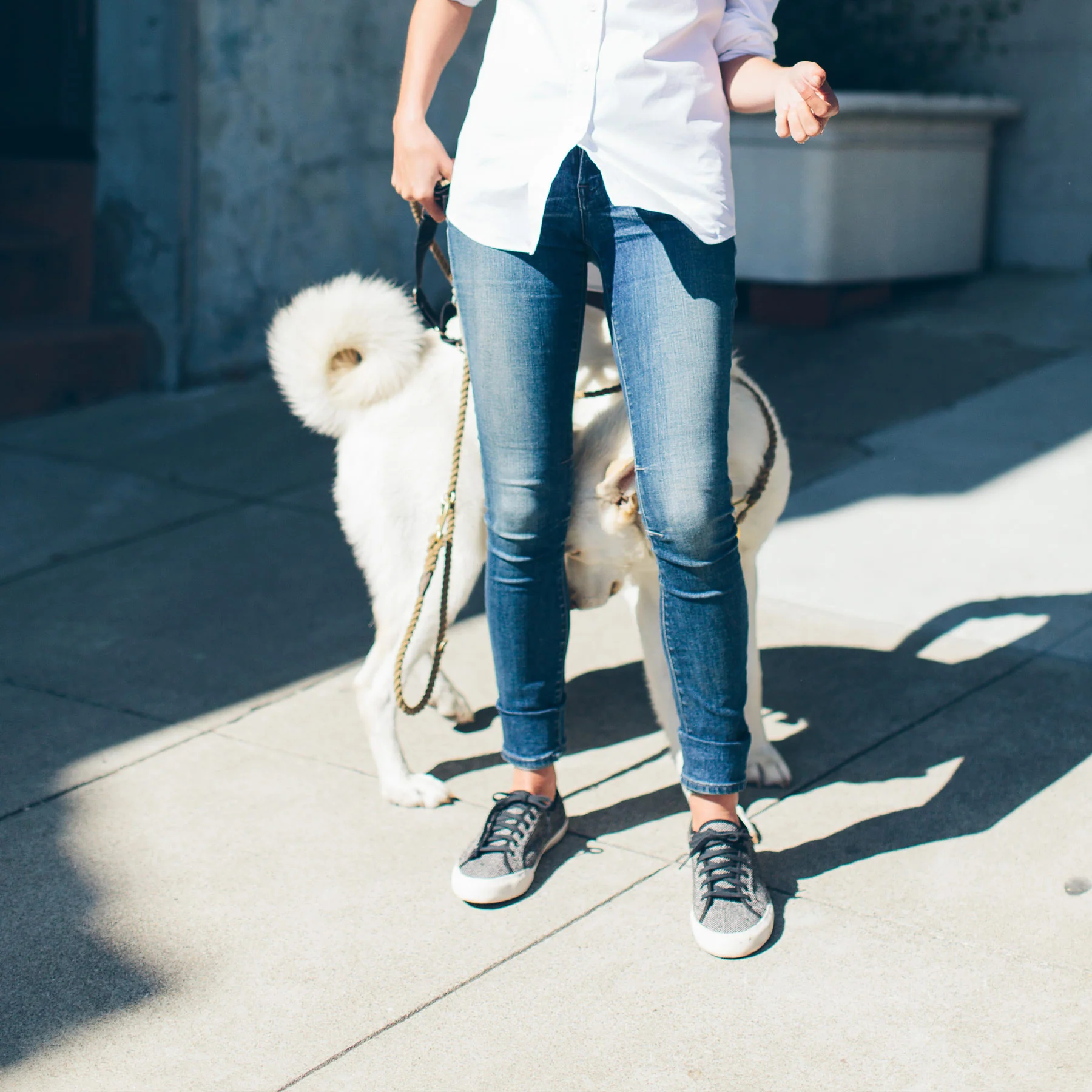 The Monterey Sneaker in Woolen Tweed - Image 6