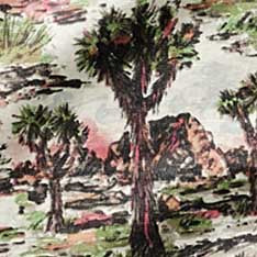 The Davis Shirt in Desert Sunset - Image 5