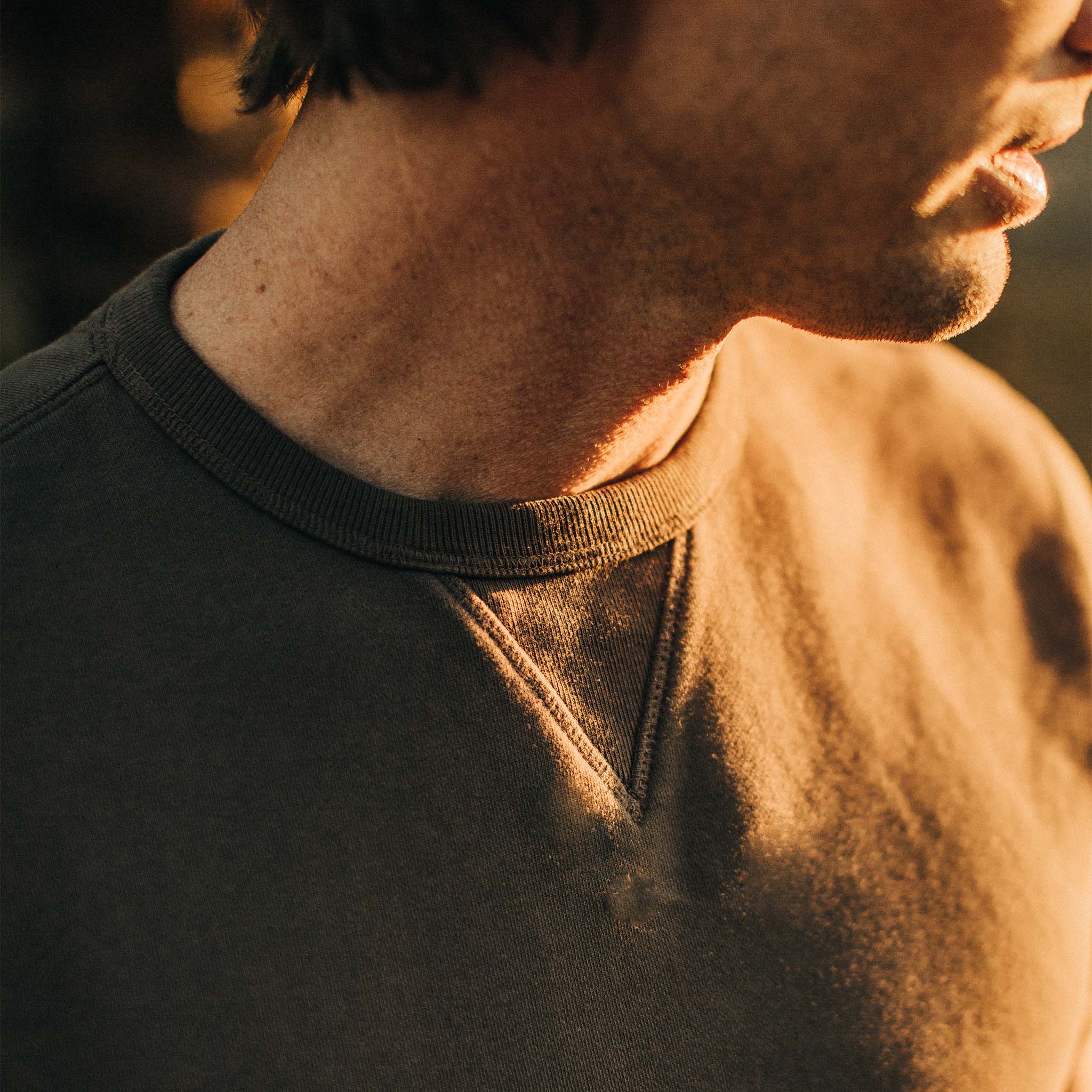 The Short Sleeve Fillmore Crew in Walnut - Image 3