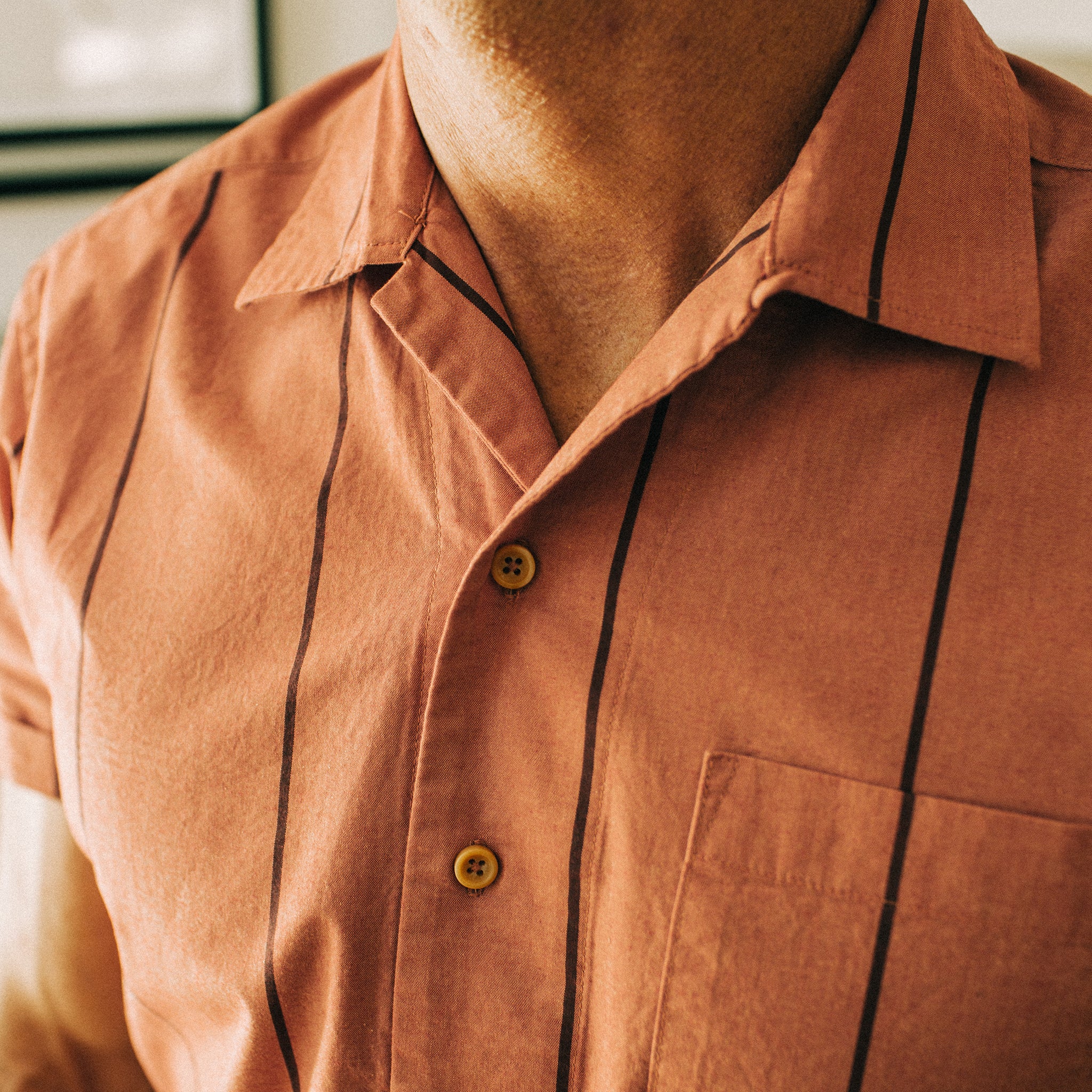 The Short Sleeve Hawthorne in Rust Stripe - Image 3