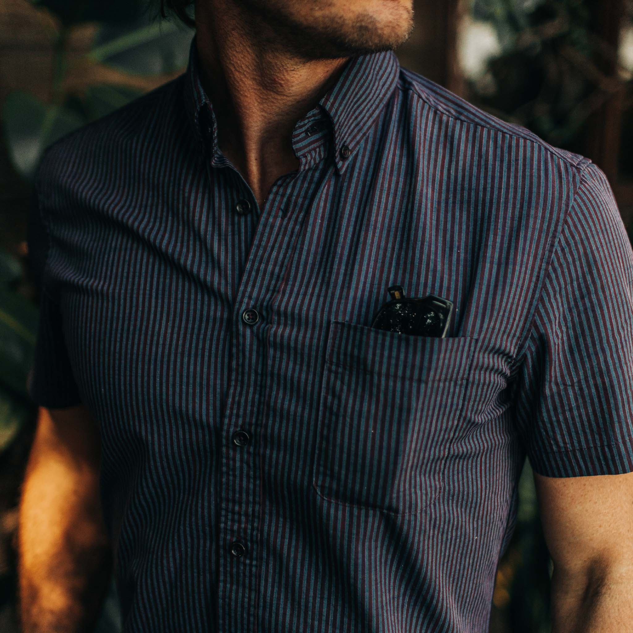 The Short Sleeve Jack in Blue Stripe - Image 3