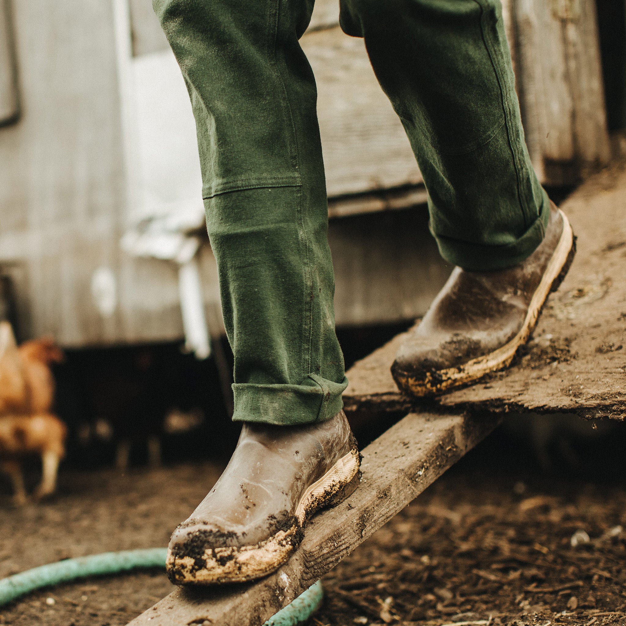 The Chore Pant in Dark Olive Boss Duck - Image 3