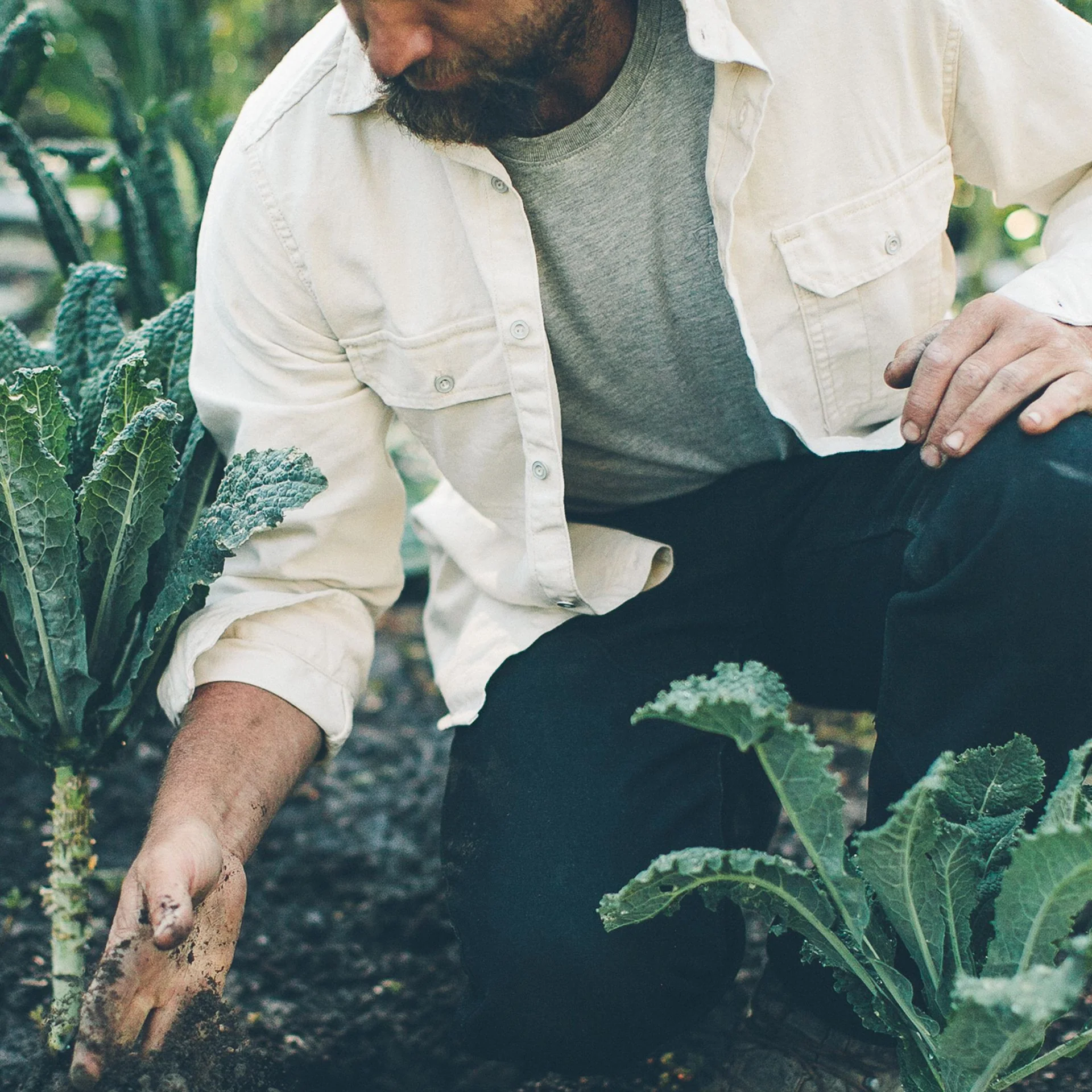 The Chore Shirt in Natural - Image 7