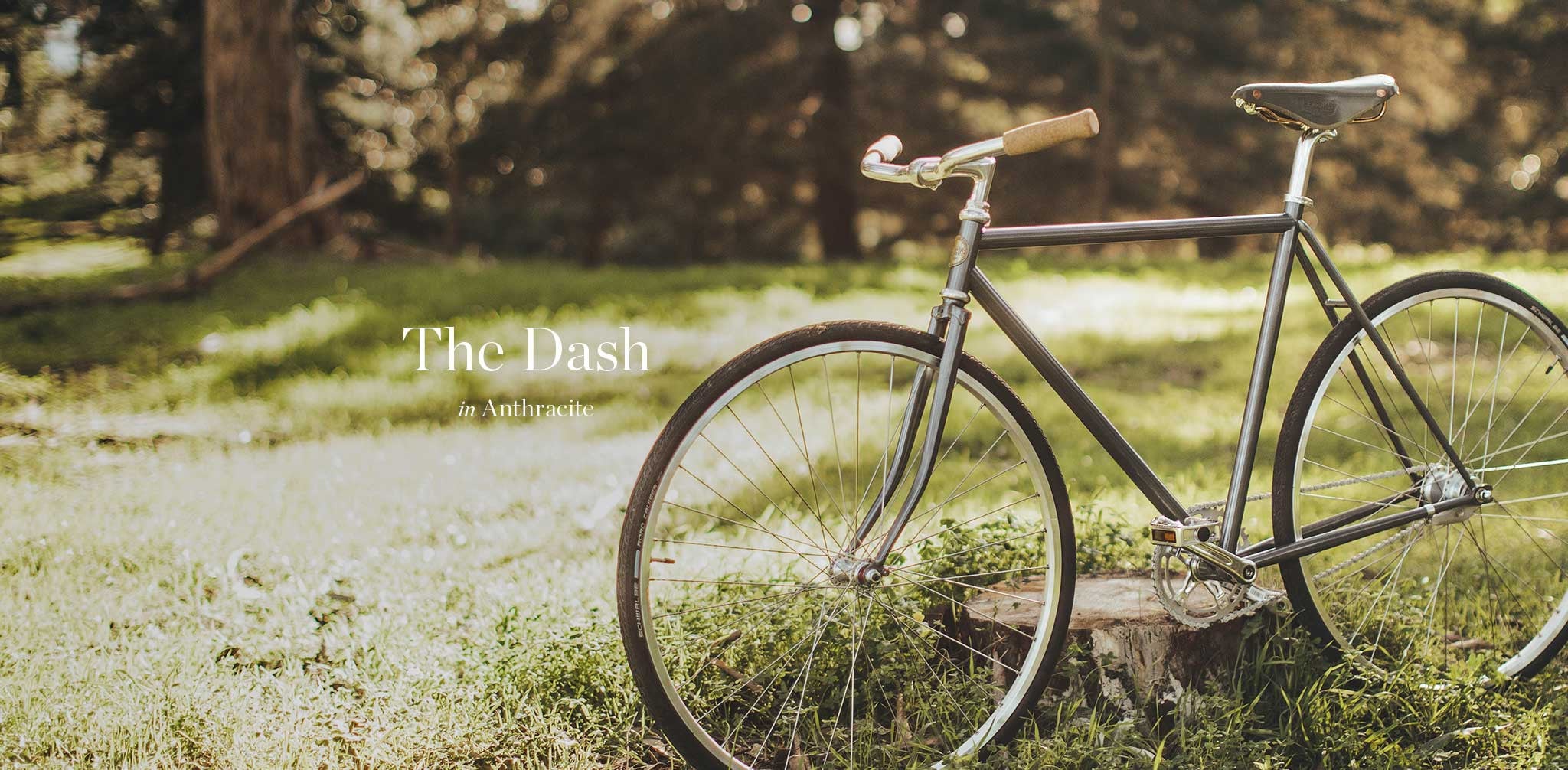 The Dash in Anthracite - Image 13