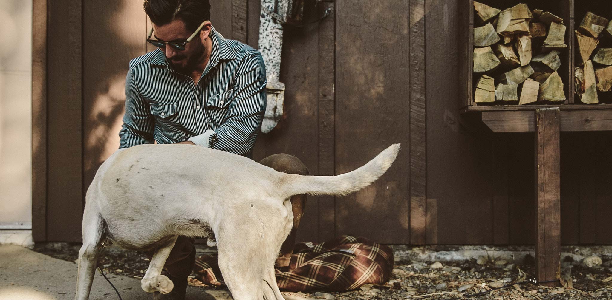 The Glacier Shirt in Hickory Stripe French Terry - Image 9