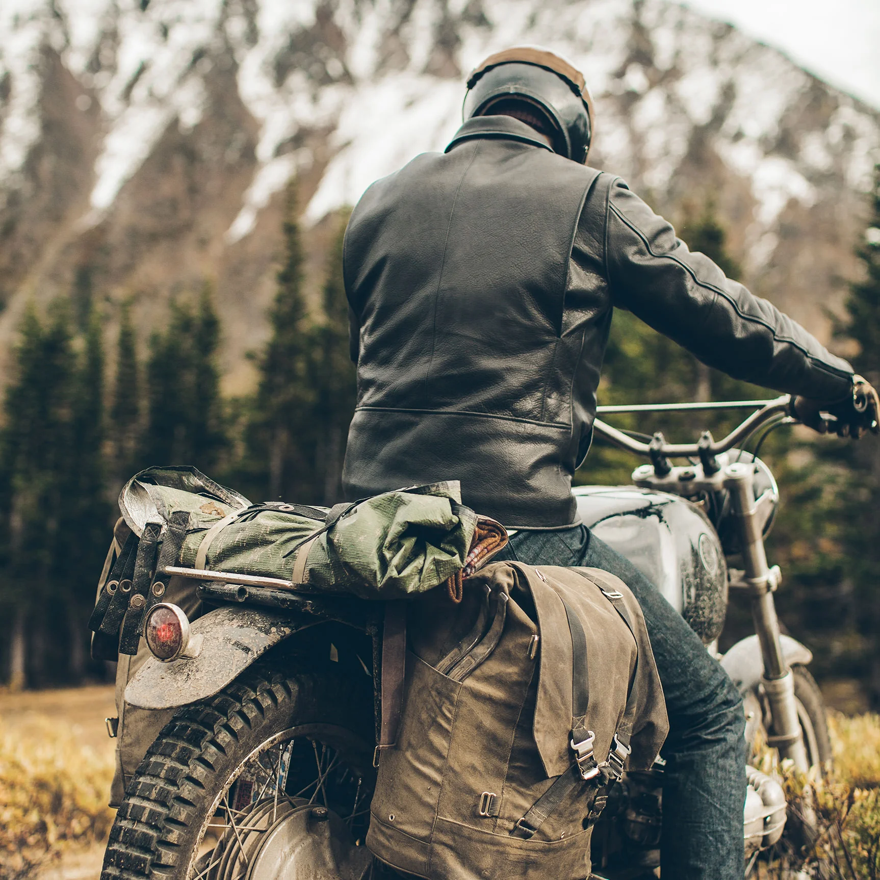The Moto Jacket in Black - Image 4