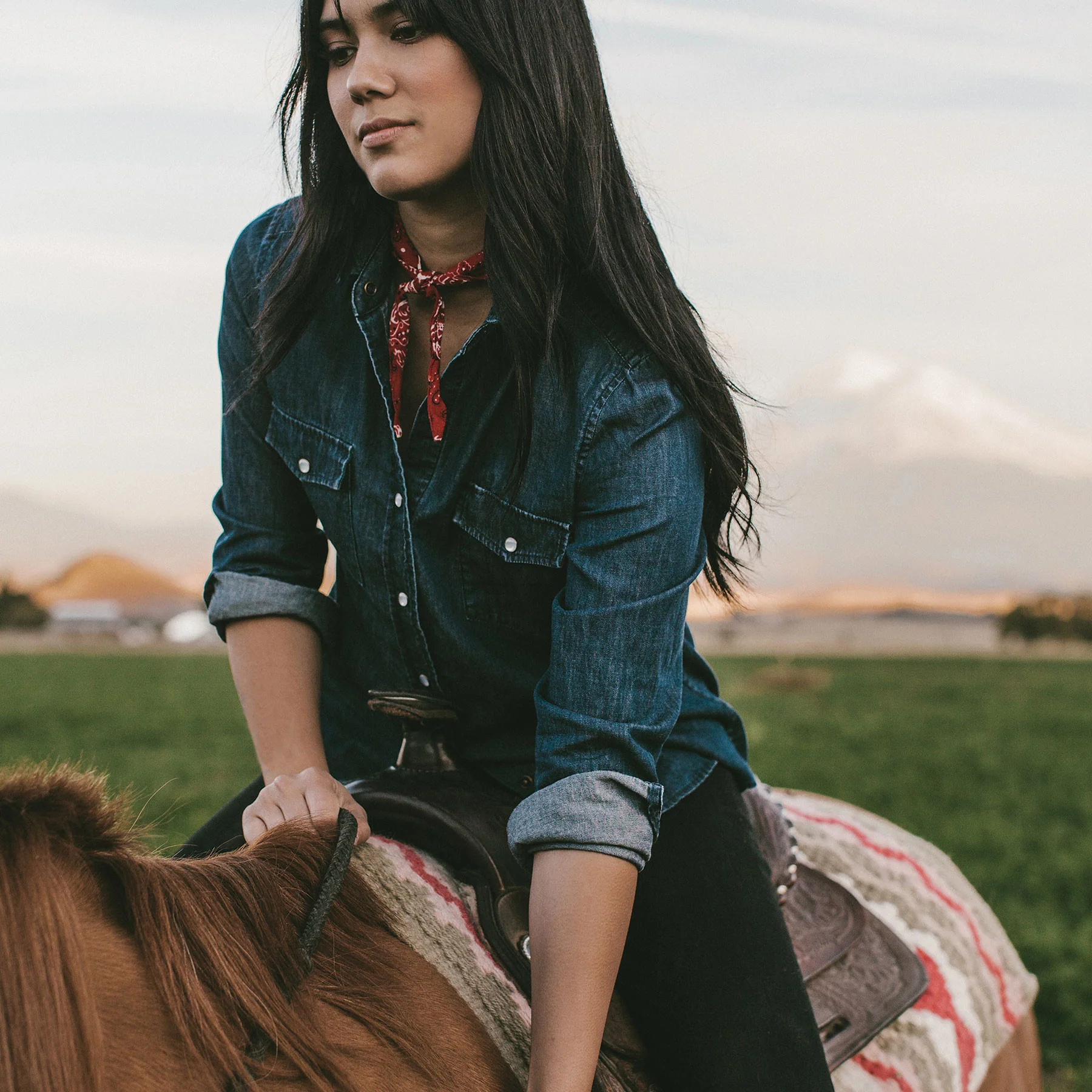 The Hutton Shirt in Indigo - Image 6