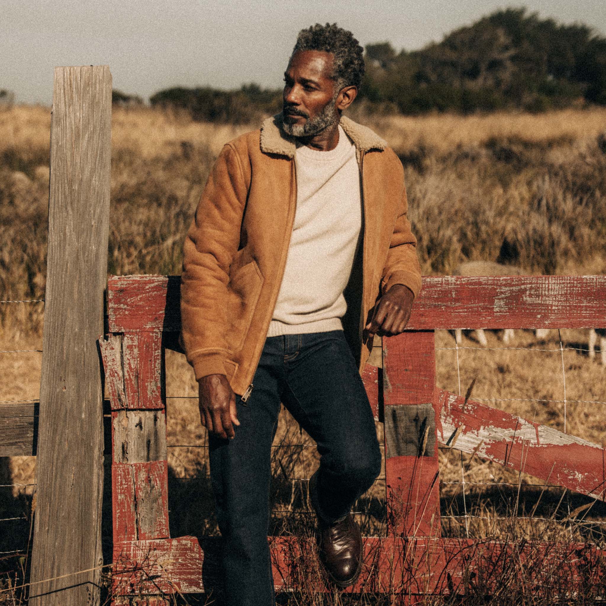 The Wright Jacket in Camel Shearling Leather - Image 2