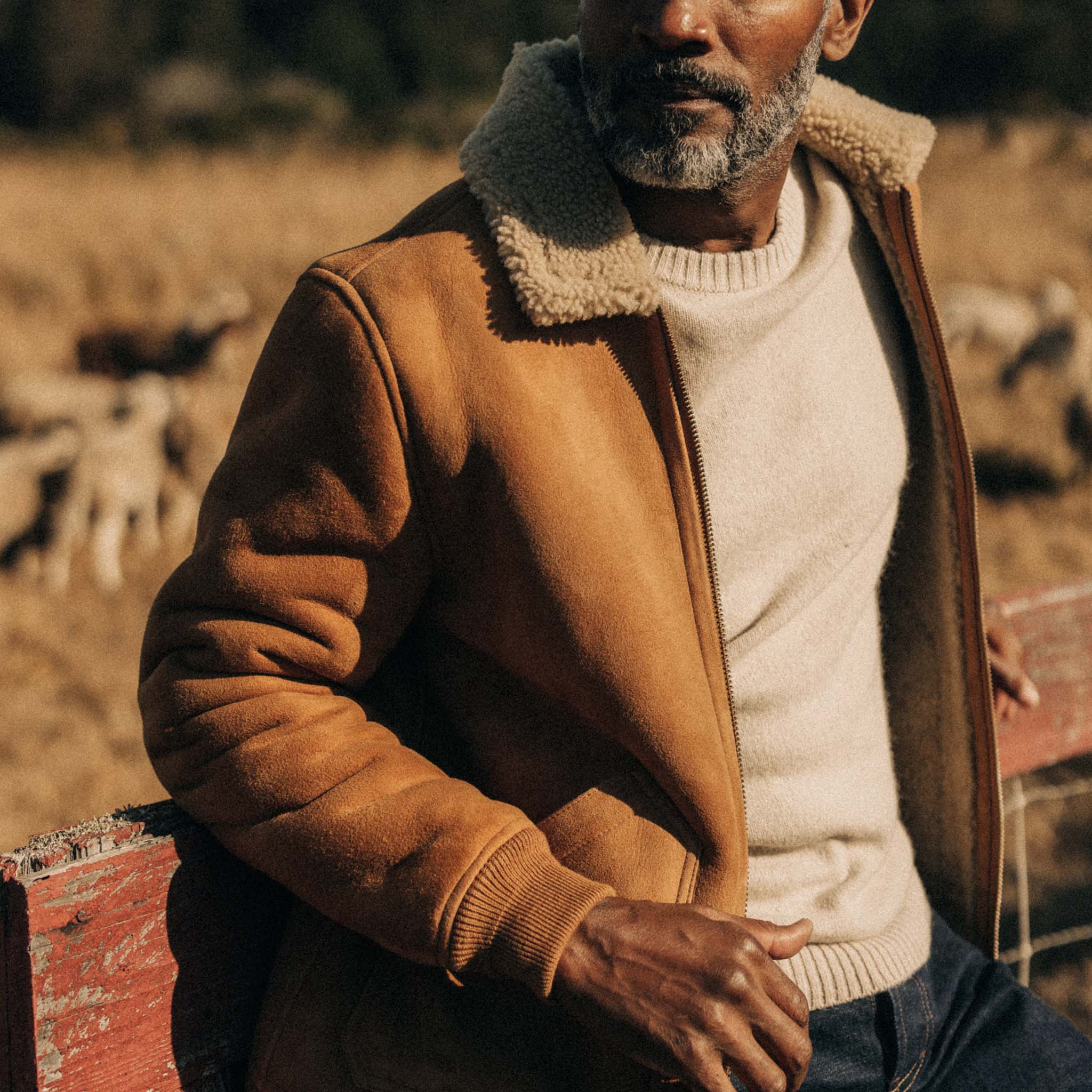 The Wright Jacket in Camel Shearling Leather - Image 3